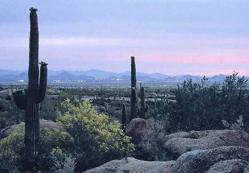 Residence Inn Scottsdale North 3*,  Stati Uniti